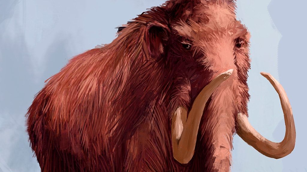 Музей Восточной Ютландии в Раннерсе