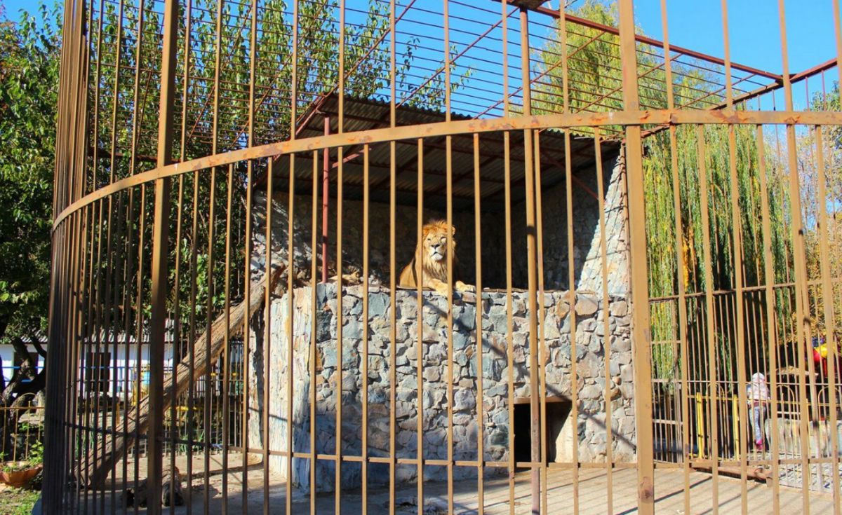 Зоопарк в Симферополе