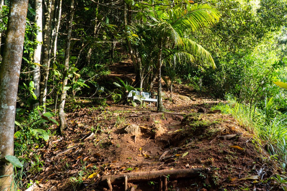 Национальный парк Морн Сейшелуа