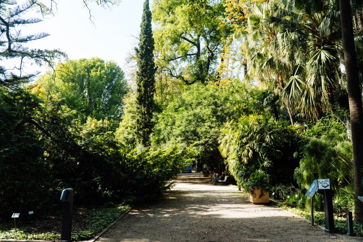 Ботанический сад Валенсии