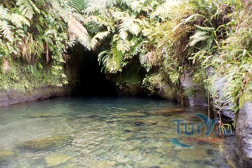 Ти Ту Гордж