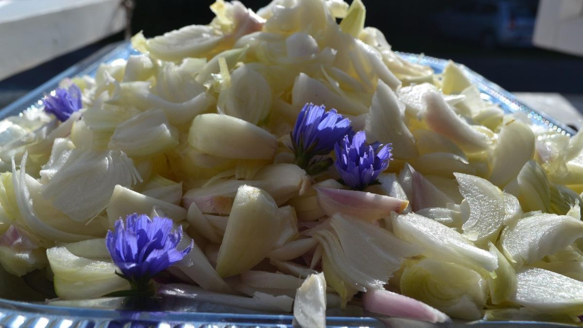 Кафе тети Шуры