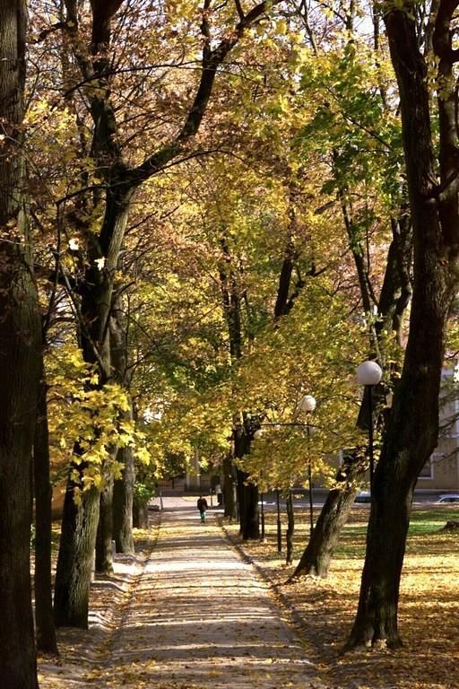 Парк Тоомемяги