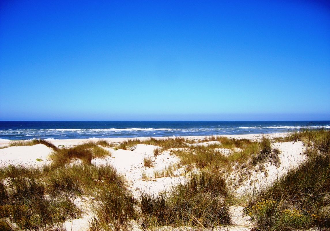 Природный заповедник Дюнаш-ди-Сан-Жасинту