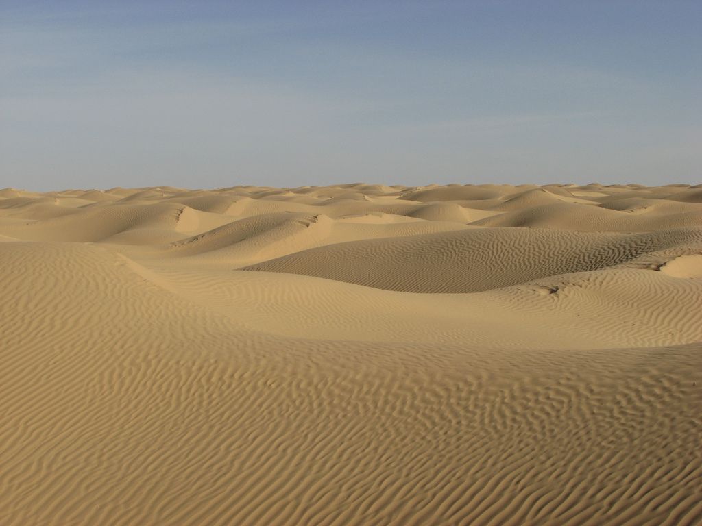 Большой Западный Эрг