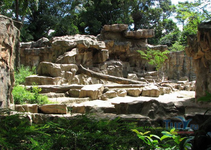 Сингапурский Зоопарк