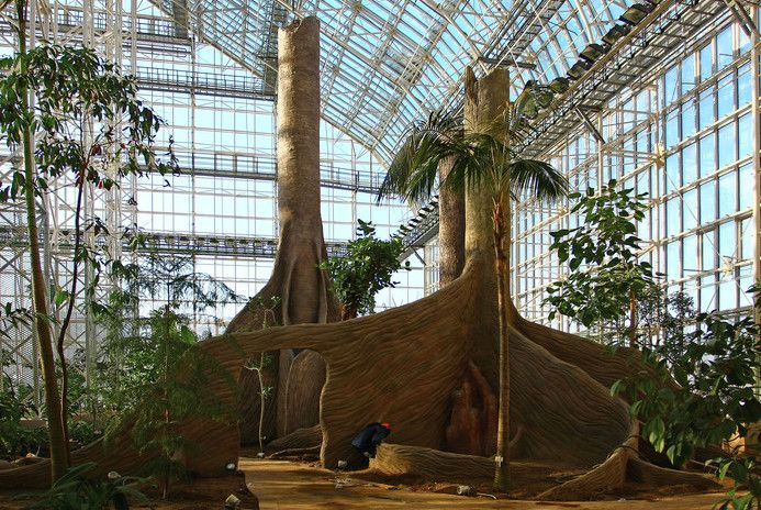 Главный Ботанический Сад им. Н.В. Цицина Российской академии наук (РАН)