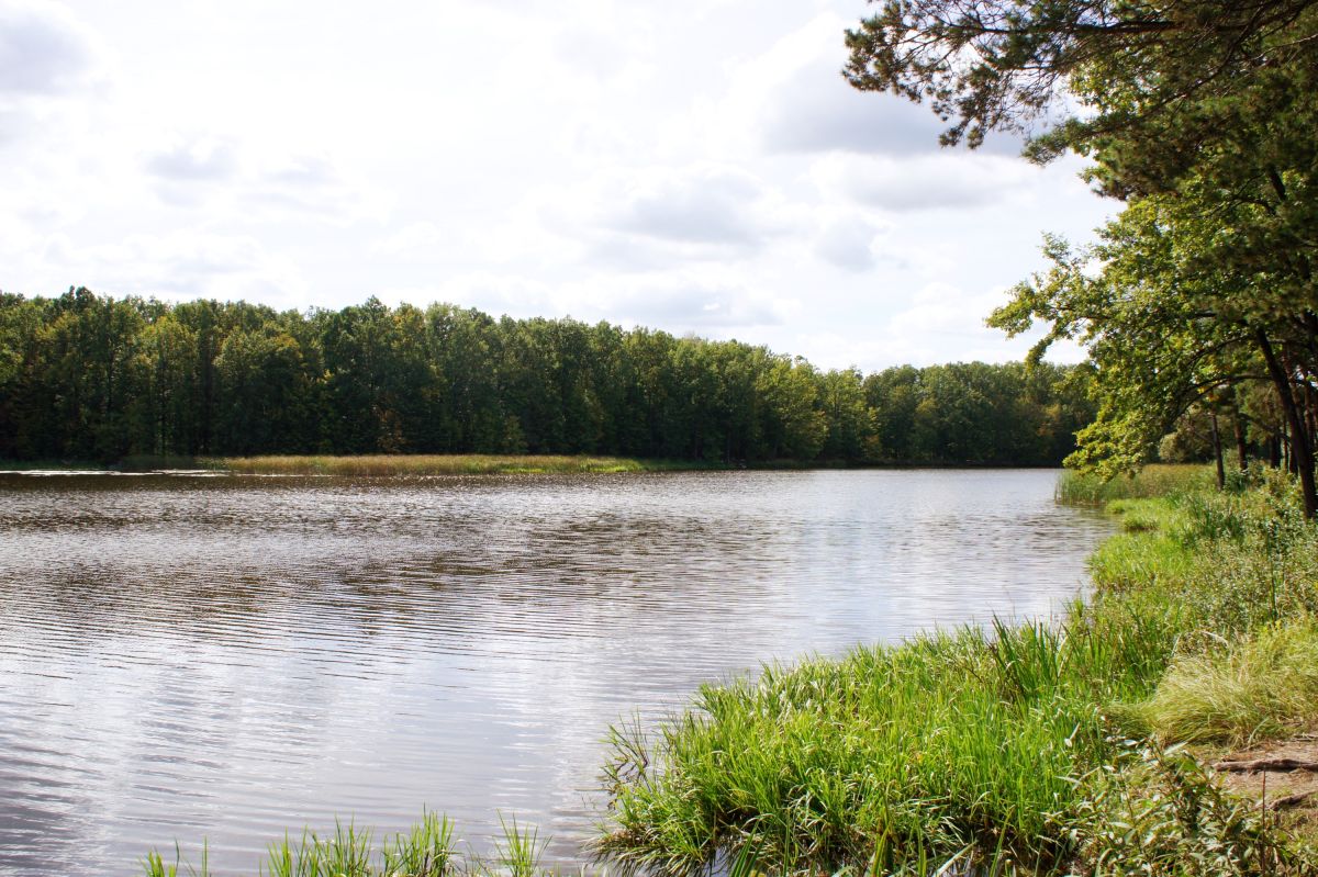 Село Дениши