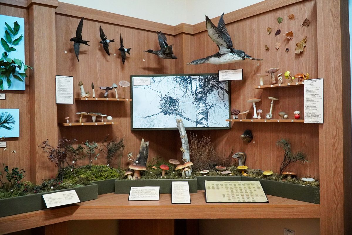 Житомирский музей природы