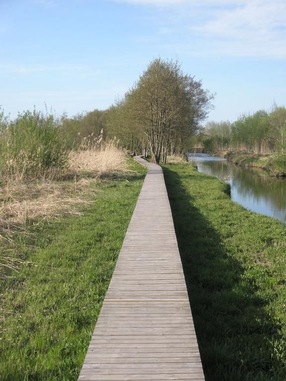 Смотровая вышка на лугу Пыдусте для наблюдения за природой и птицами