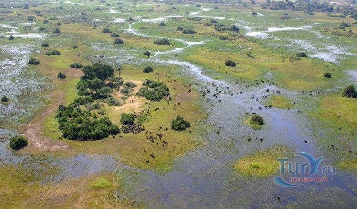 Заповедник Мореми 