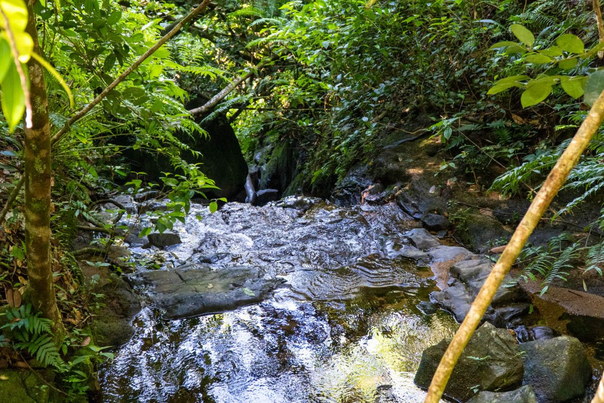 Салази Трейл