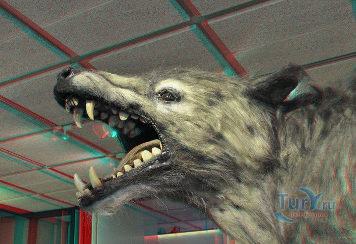 Музеон в Гааге