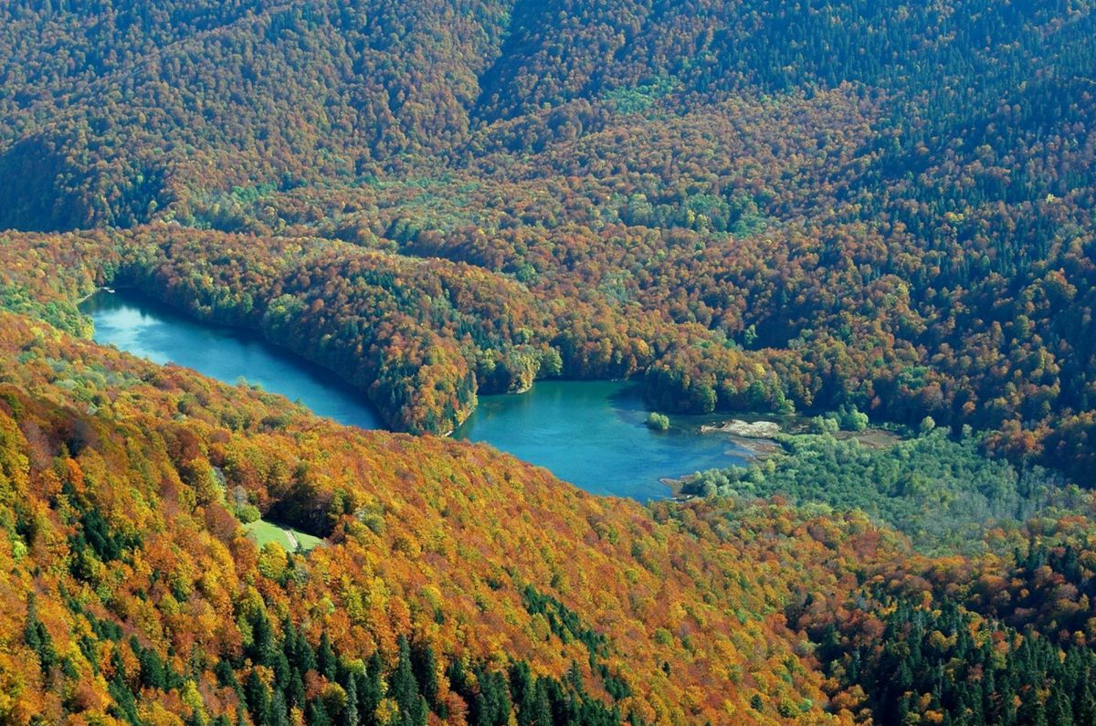 Национальный парк Биоградска гора