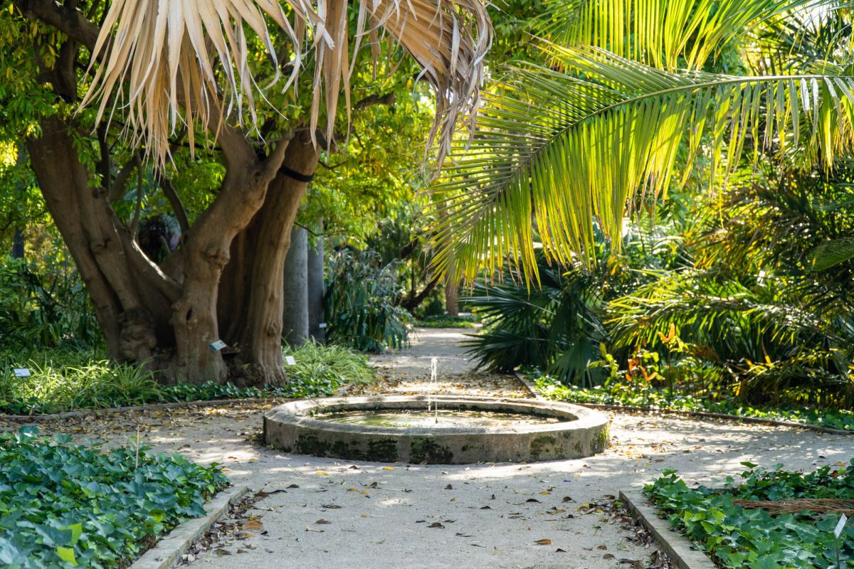 Ботанический сад Валенсии