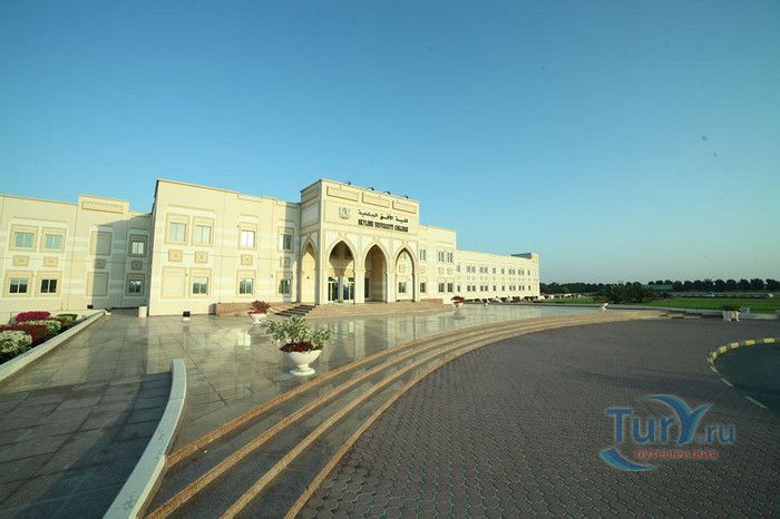 Университетский колледж Скайлайн