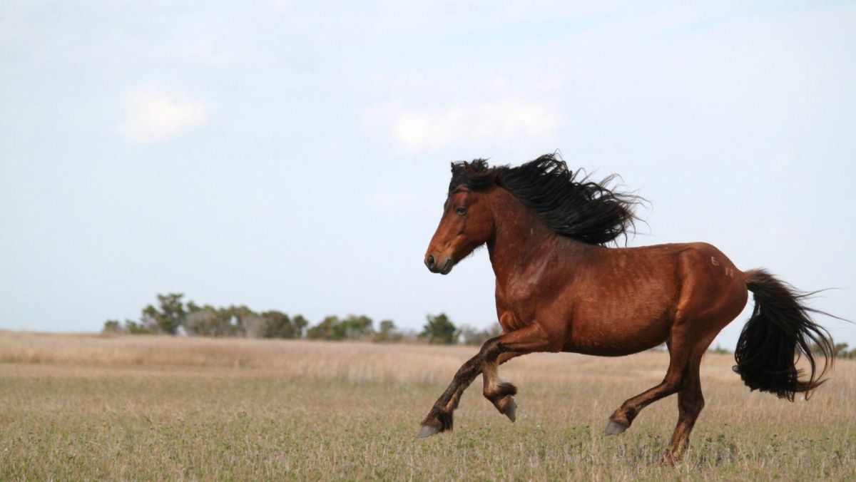 Хутор Сукахярма Мярди Талу