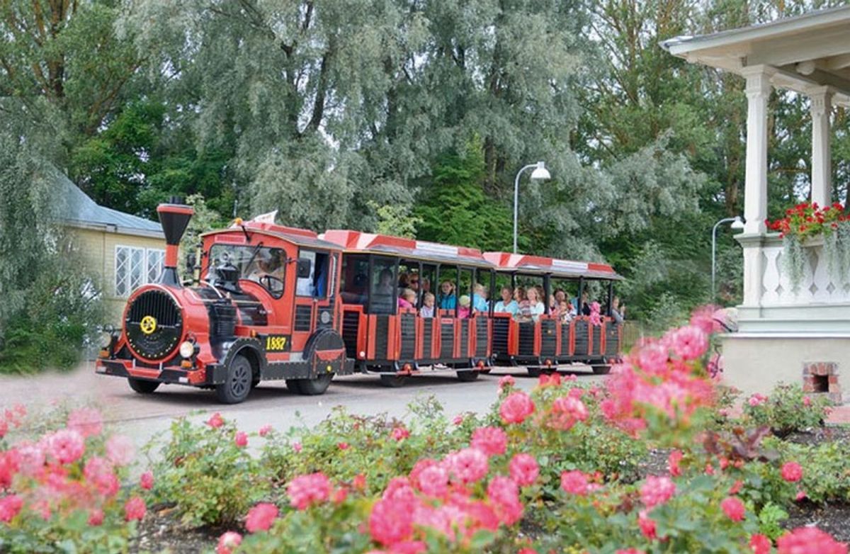 Прогулочный паровозик 