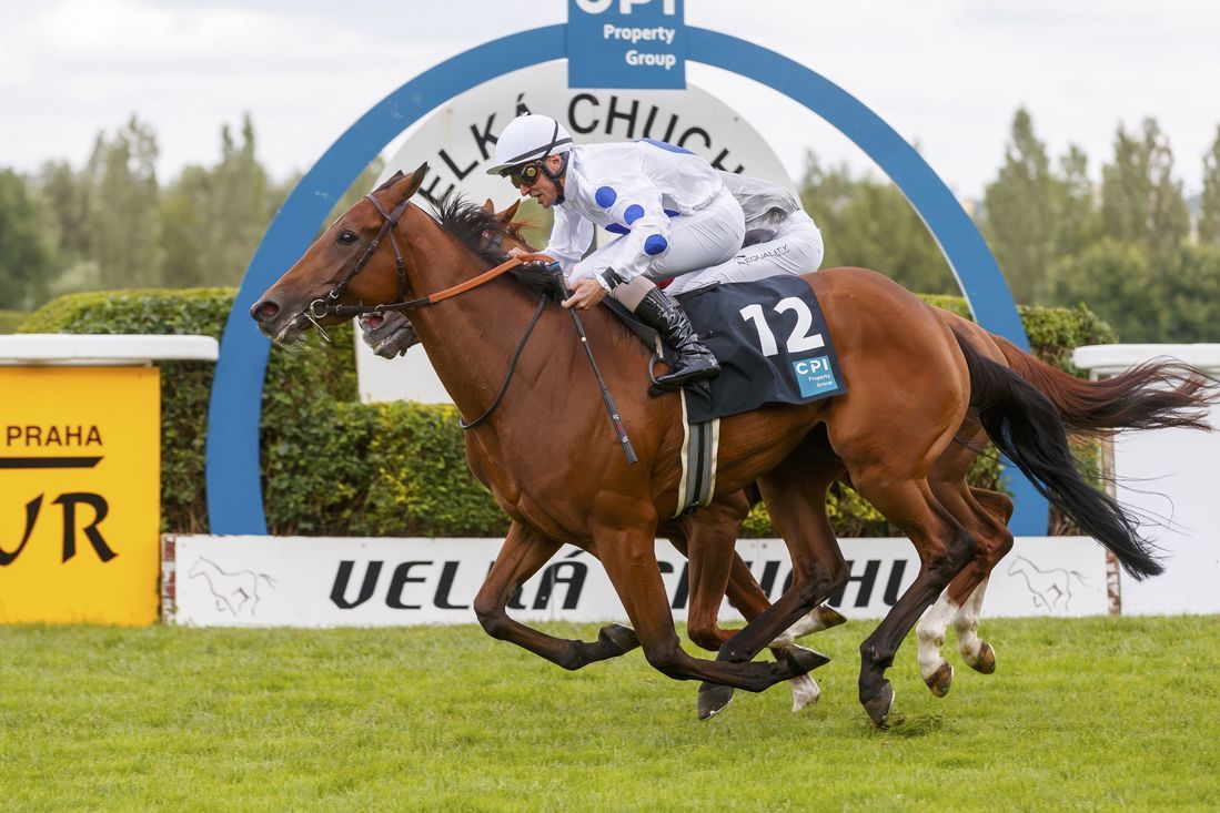 Ипподром Praha - Velká Chuchle