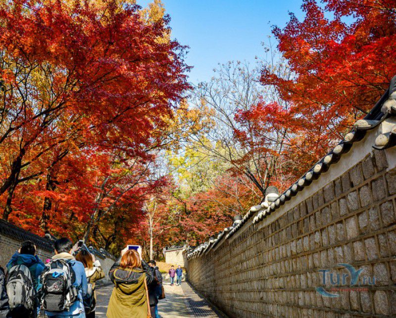 Дворцовый Комплекс Чхандоккун