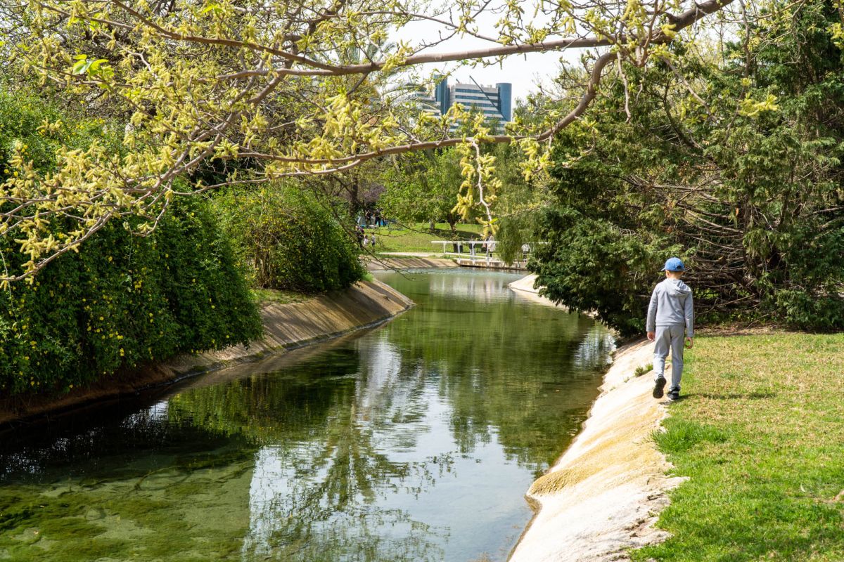 Сад Турия Валенсия. Парк Турия