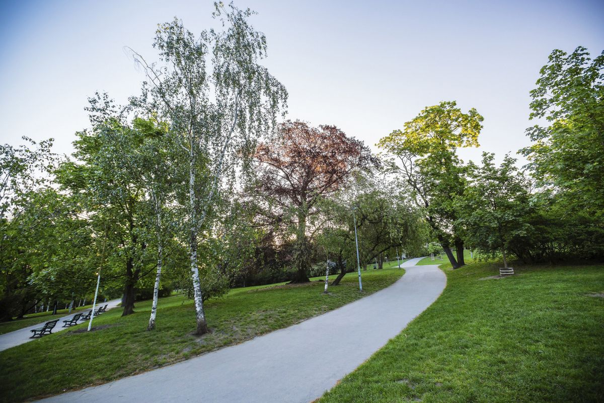 Ригровы сады