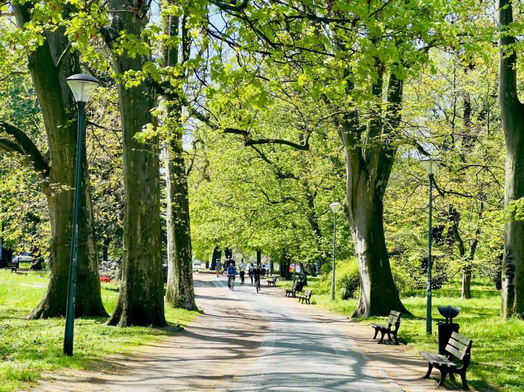 Парк Юлиуша Словацкого