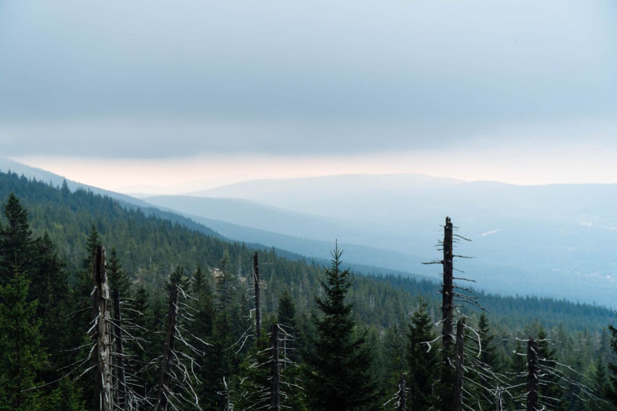 Карконошеский национальный парк