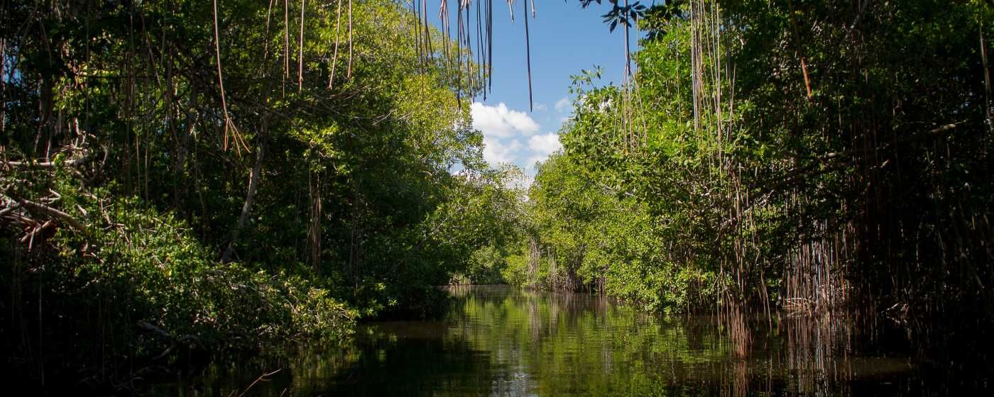 Реки и водопады Ямайки. Время поплескаться!