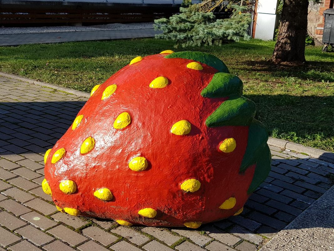 Клубника в Вильянди