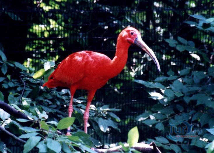 Национальный парк Ливера