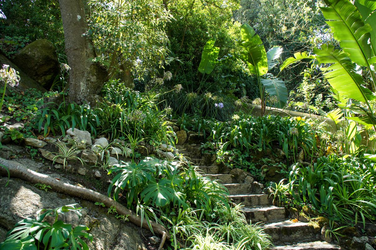 Вилла Сассетти