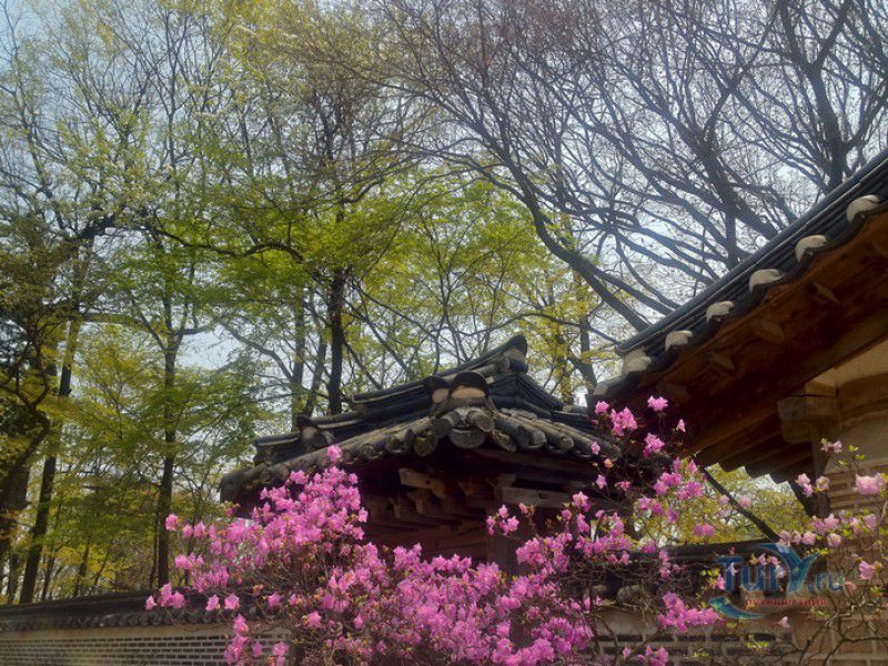 Дворцовый Комплекс Чхандоккун