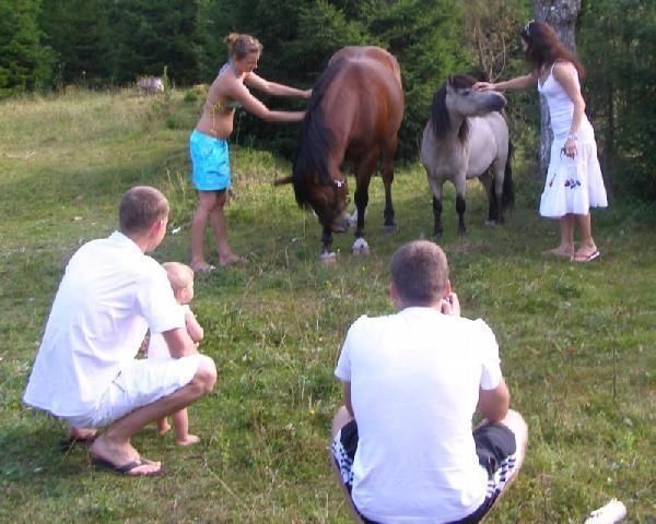 Открытый хутор Капа