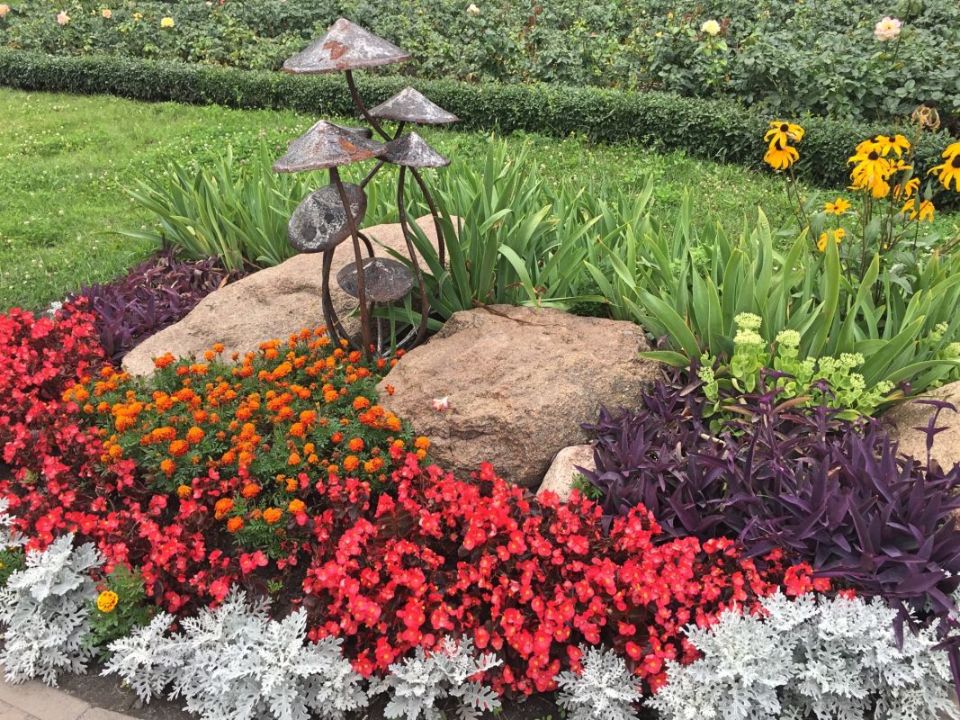 Сад камней на Оболони