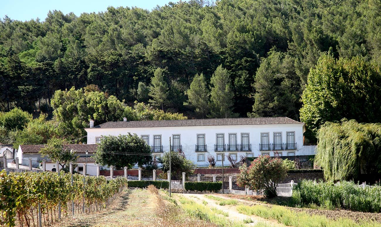 Муниципальная ферма Субсерра