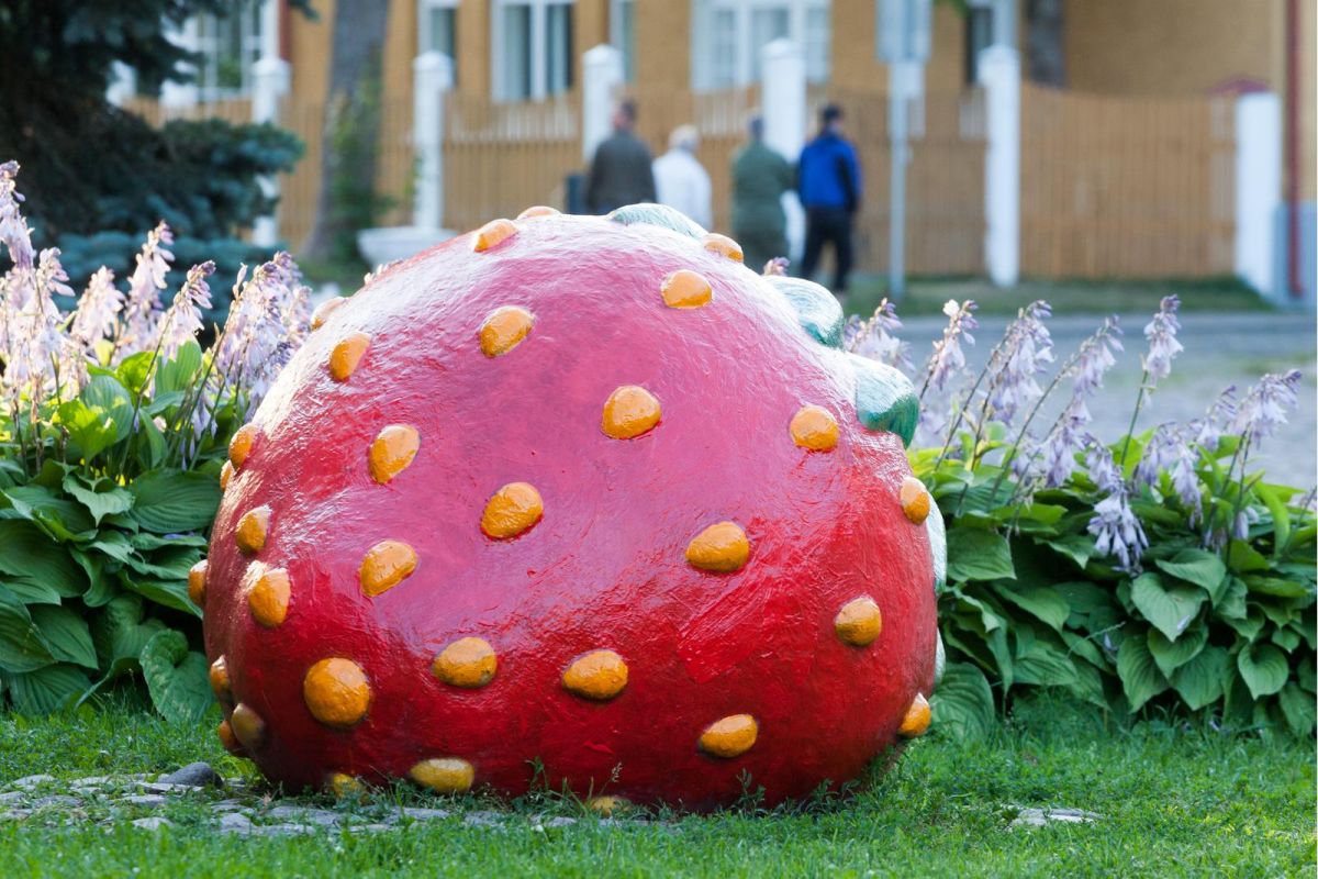 Клубника в Вильянди