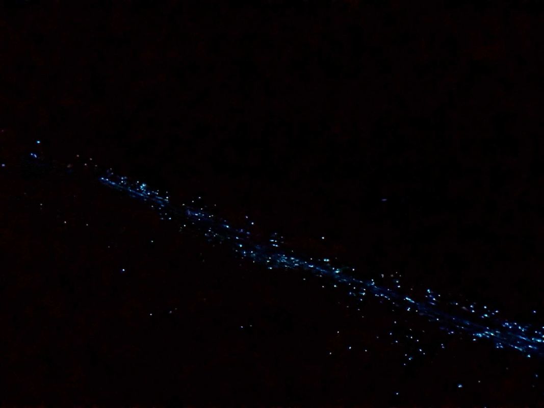 Маафуши Планктон Бич