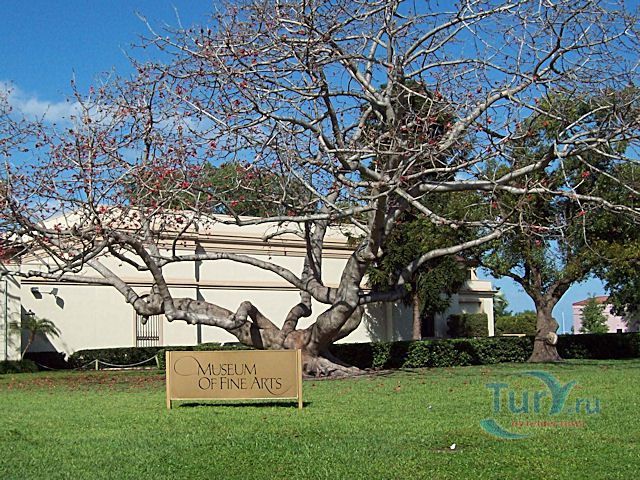 Музей Изобразительных Искусств