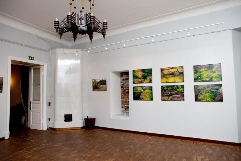 Художественная галерея при таллиннском Доме учителя