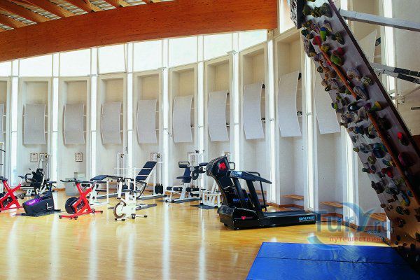 Ледовый дворец