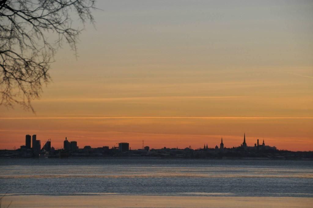 Ресторан NOA