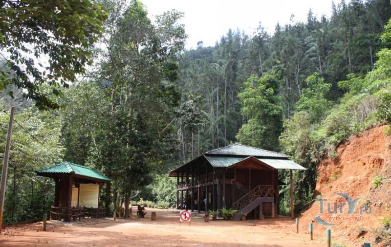 Дождевой лес Синхараджа