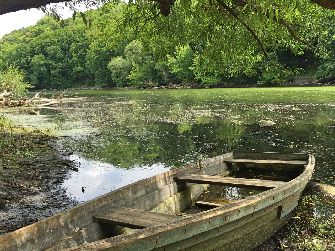 Река Тетерев