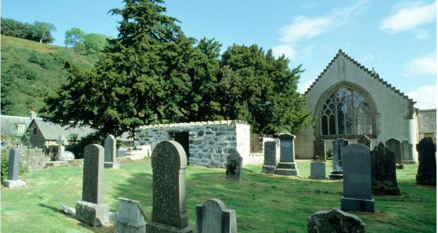 Тис Фортингалл