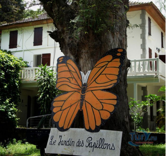 Сад Бабочек Мартиника