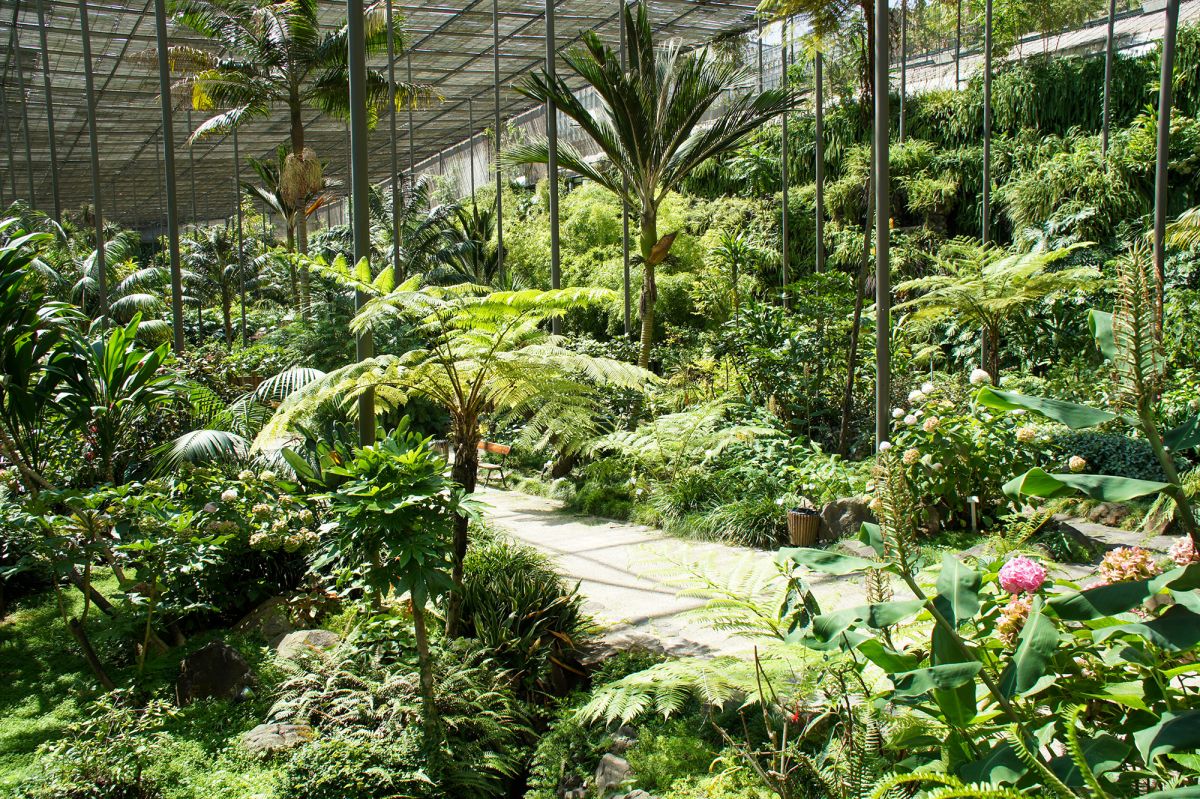 Парк Эдварда VII и Эстуфа Фриа 