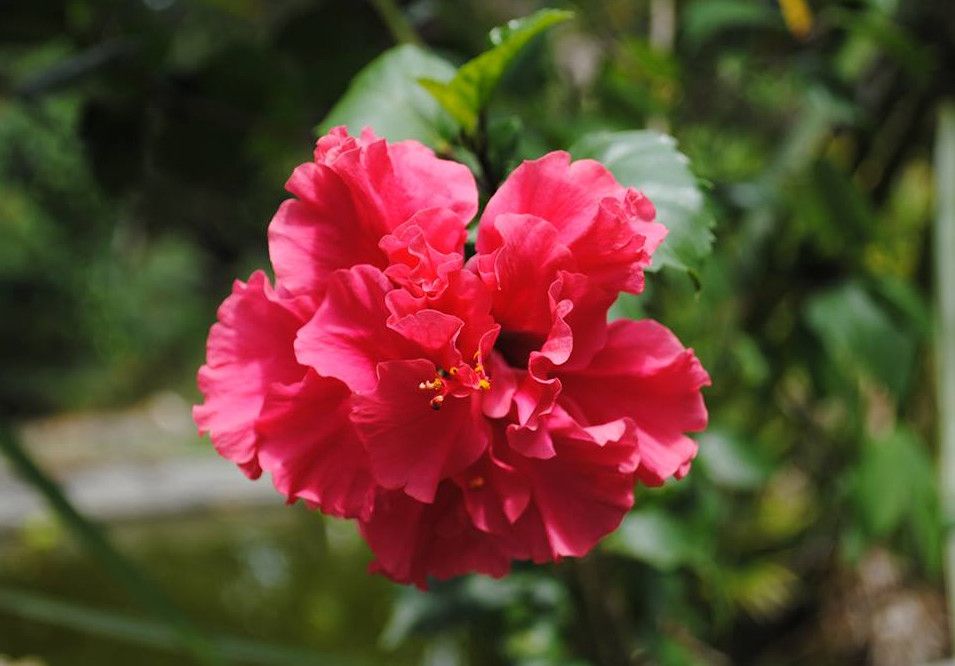 Ферма и Природный Заповедник Приключения  (Adventure Farm & Nature Reserve)